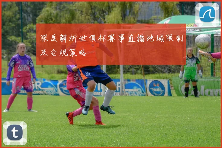 深度解析世俱杯赛事直播地域限制及合规策略