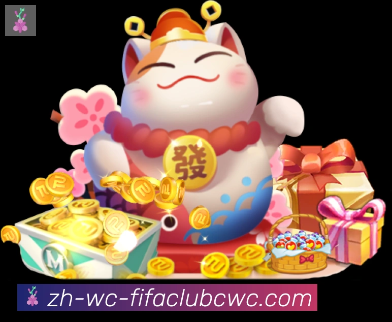 未来规划